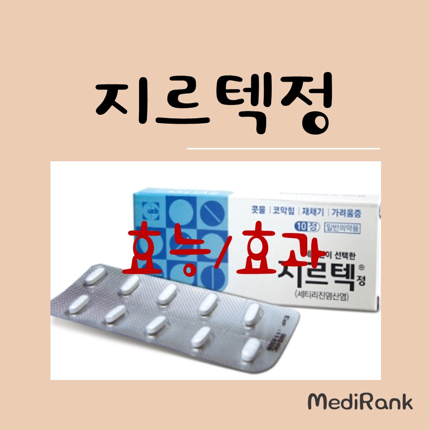 지르텍정 썸네일 이미지